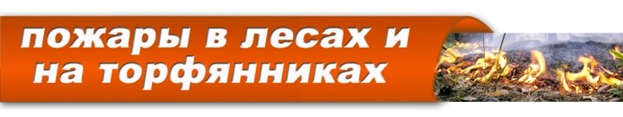 logo3.jpg